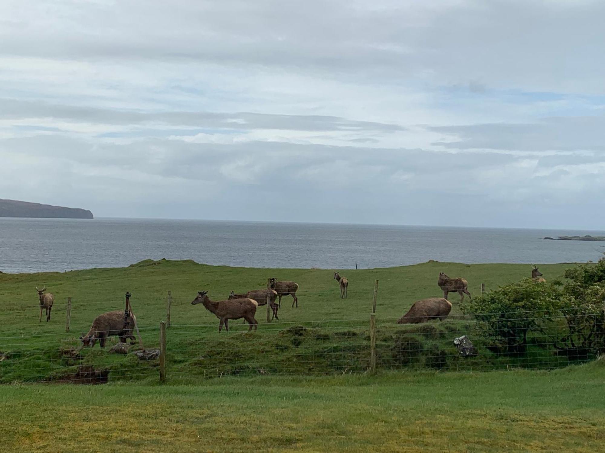 Coral Cabins Dunvegan  Pokój zdjęcie